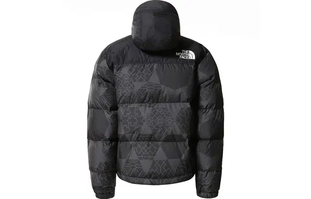 THE NORTH FACE 1996 Retro Nupts 700
