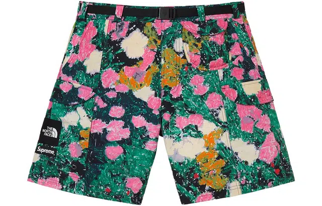 Supreme SS22 The North Face trekking packable belted short