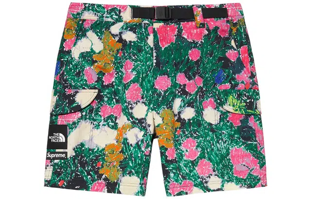 Supreme SS22 Week 16 x The North Face Rekking Zip-off Belted Pant