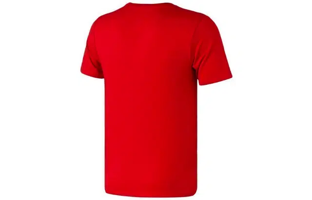 Jordan Iconic T