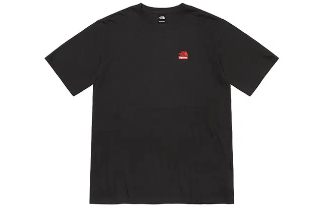 Supreme x THE NORTH FACE T