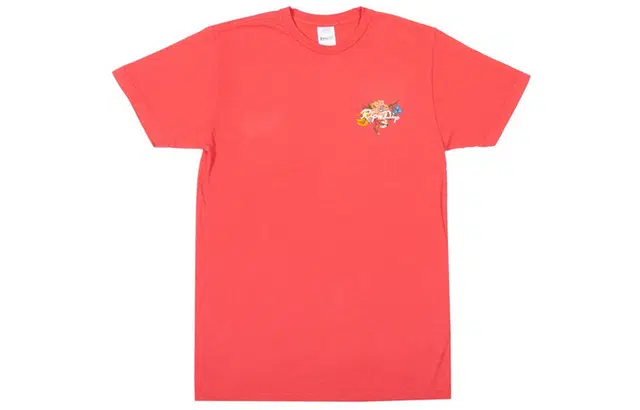 RIPNDIP T