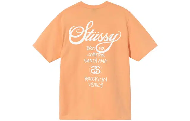 Stussy World Tour T