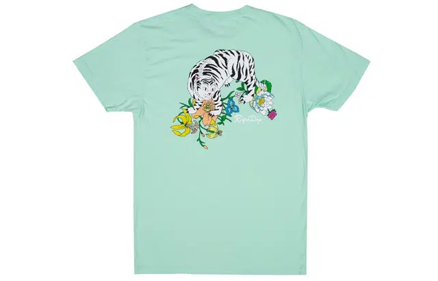 RIPNDIP T