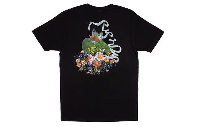 RIPNDIP T