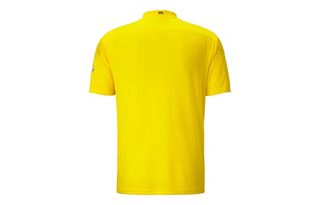 Puma T