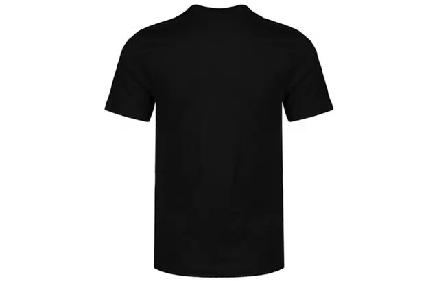 Jordan Air Wings T