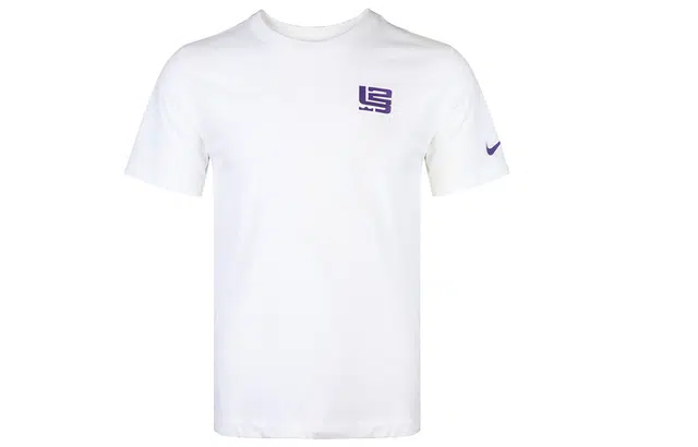 Nike Strive for greatness T