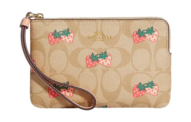 COACH Corner Zip 16