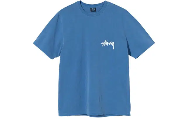 Stussy Painter Dyed Tee T