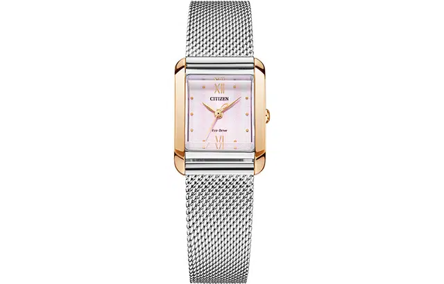 CITIZEN L EW5596-66X