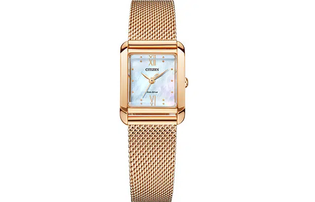 CITIZEN 22mm EW5593-64D