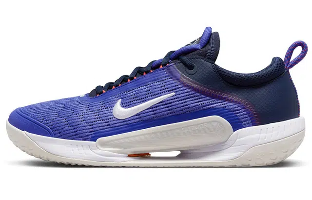 Nike Zoom Court NXT HC