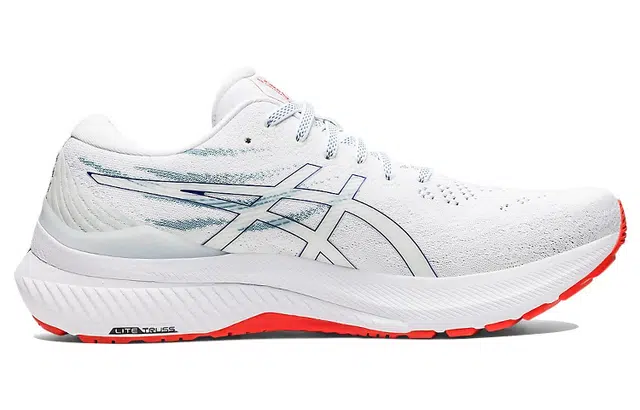 Asics GEL-KAYANO 29