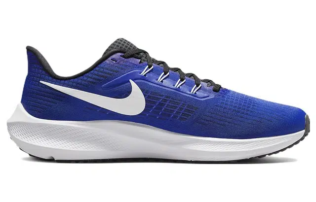 Nike Air Zoom Pegasus 39