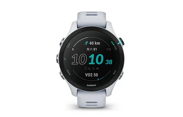 GARMIN Forerunner255S 010-02641-76X