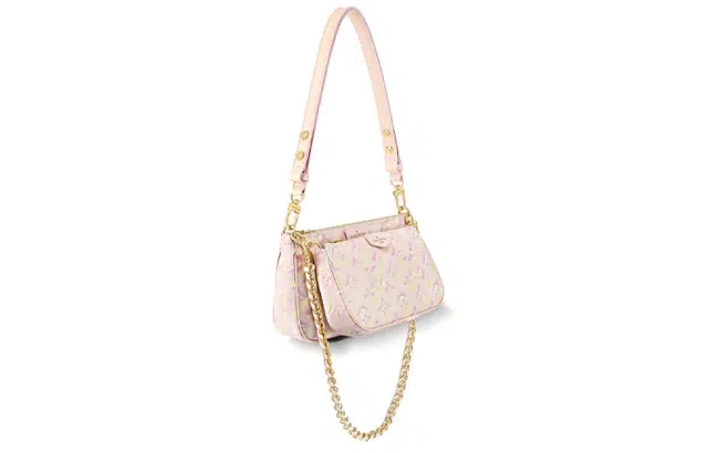 LOUIS VUITTON Multi Pochette Accessories