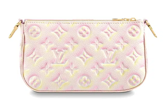 LOUIS VUITTON Multi Pochette Accessories