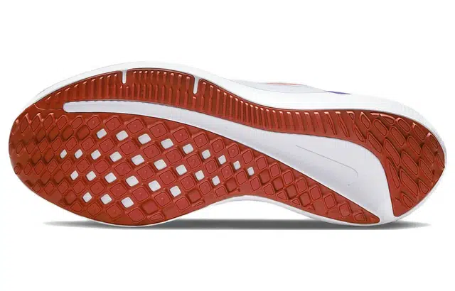 Nike Zoom Winflo 9