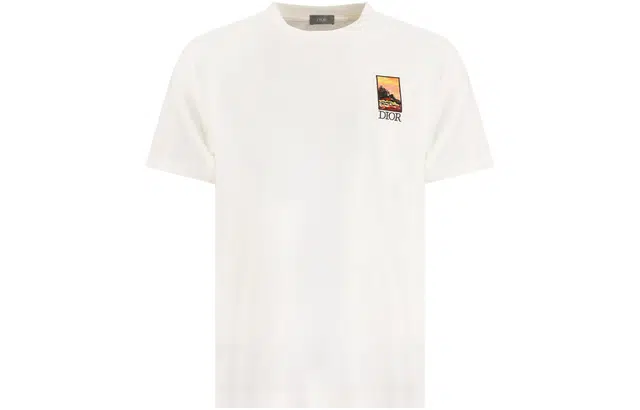 DIOR T