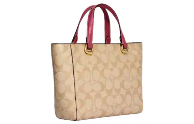 COACH Alice 21