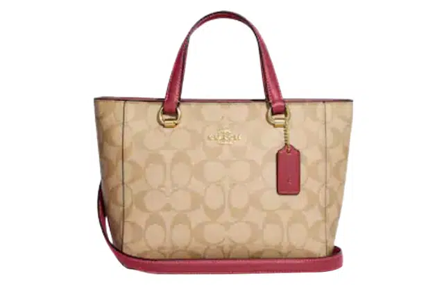 COACH Alice 21