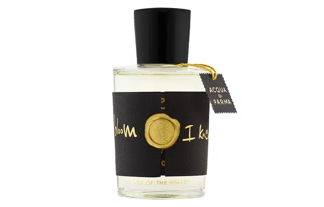 EDP 100ml