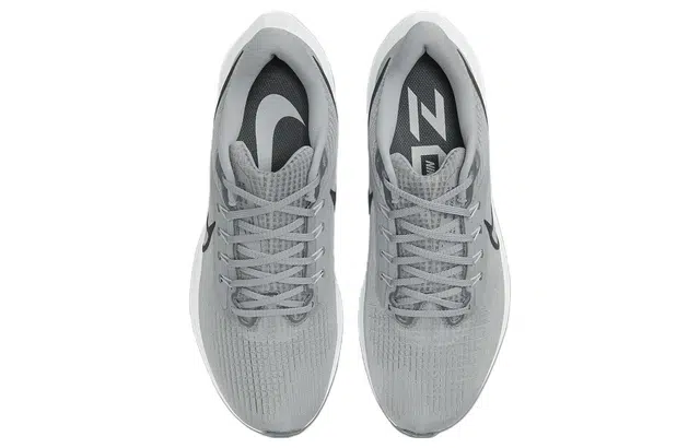 Nike Air Zoom Pegasus 39