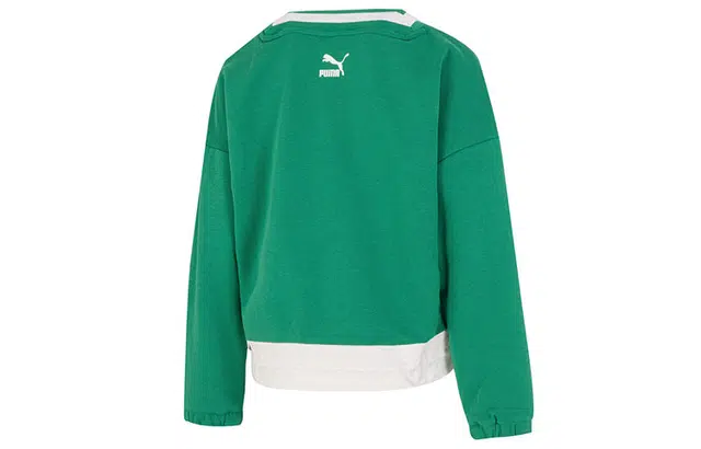Puma Women Fashion V neck Sweatshirt