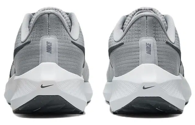 Nike Air Zoom Pegasus 39