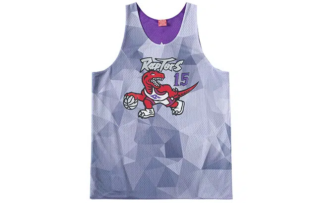 Mitchell & Ness Vince Carter 15 Raptors Jersey