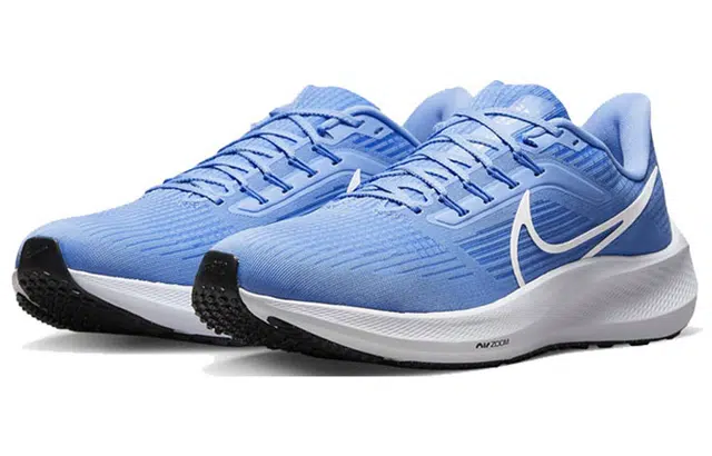 Nike Air Zoom Pegasus 39