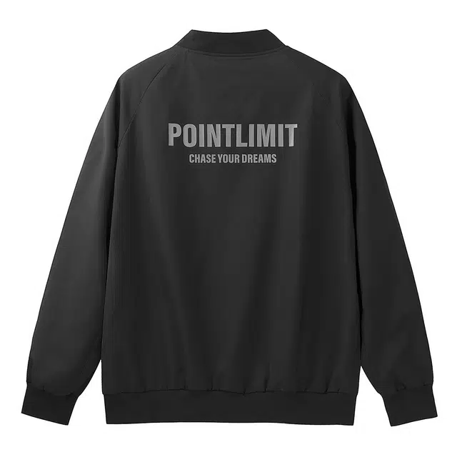 POINTLIMIT logo