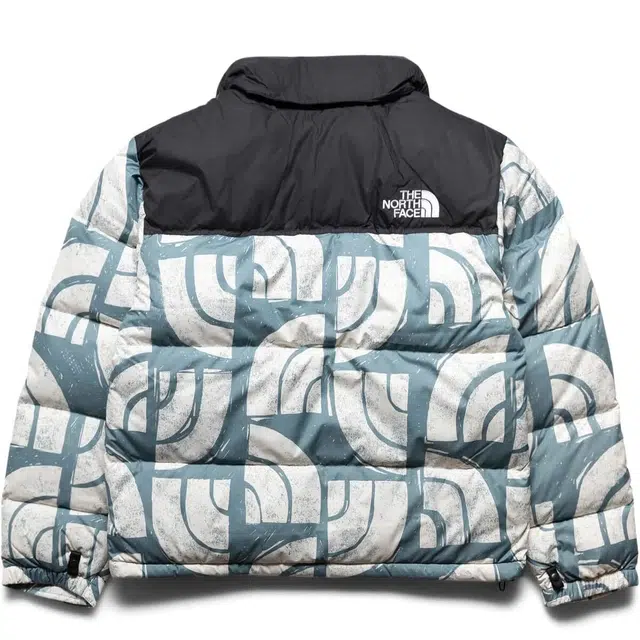 THE NORTH FACE 1996 Retro Nuptse 700