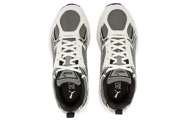 PUMA Milenio