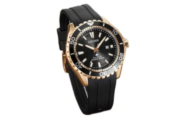CITIZEN Promaster 200 PU 44.5mm BN0193-17E
