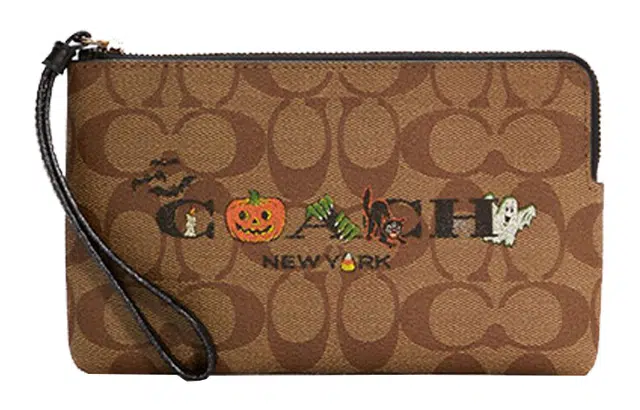 COACH Corner Zip 20