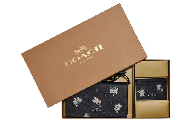 COACH Anna 20