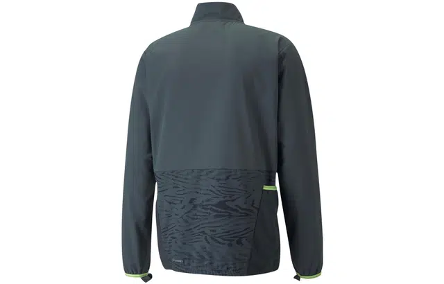 Puma Logo