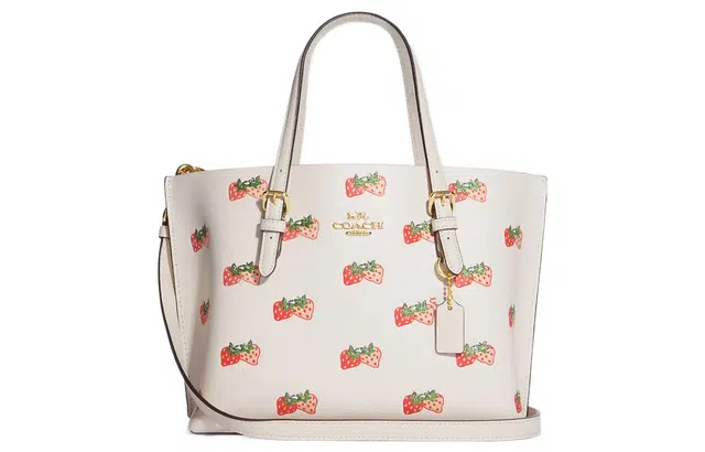 COACH Mollie 25 Tote