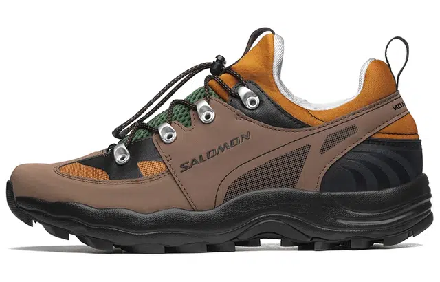 Salomon Raid Wind Brown Black