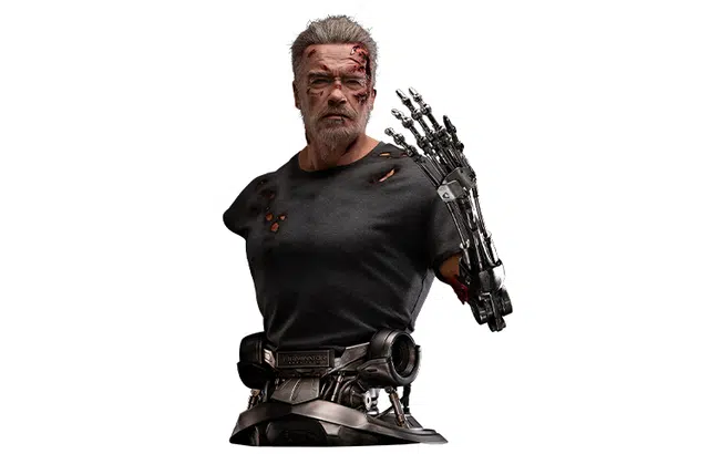 100 x 11 t-800