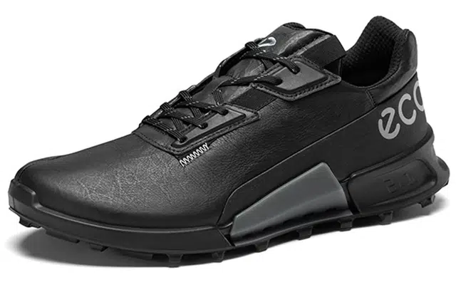 ecco 2.1