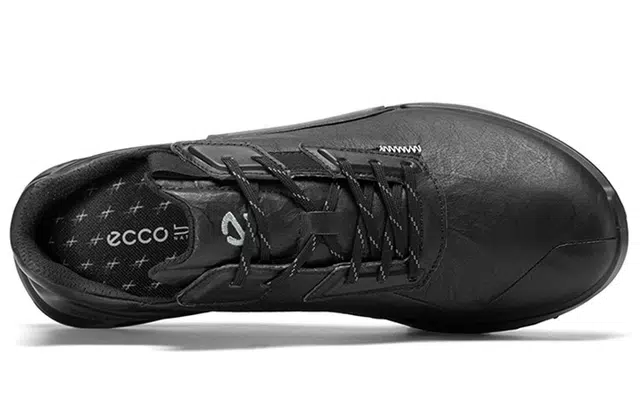 ecco 2.1