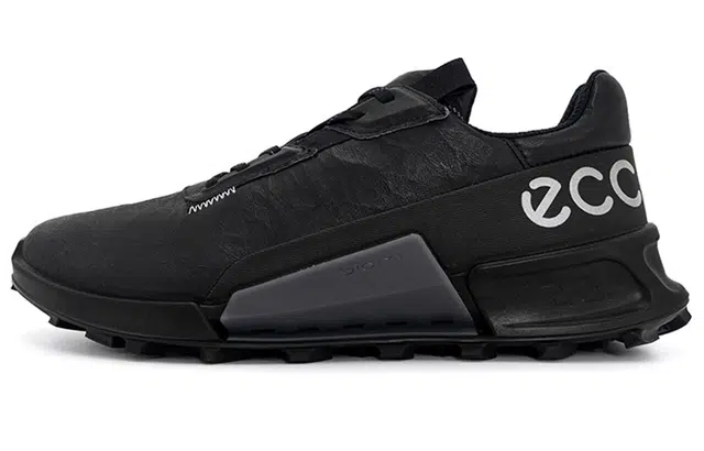 ecco 2.1