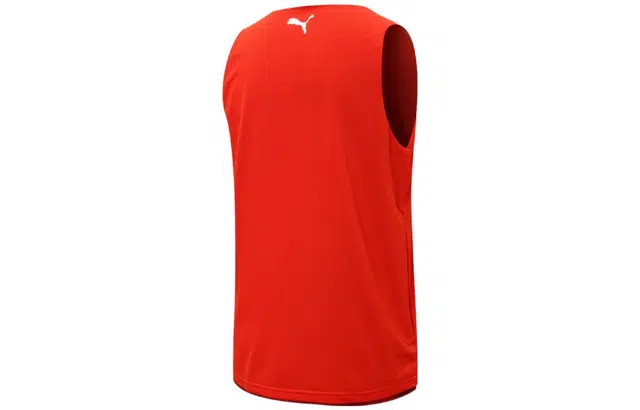 Puma Logo