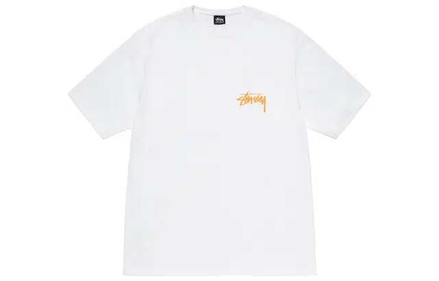 Stussy FW22 Coastline Tee LogoT