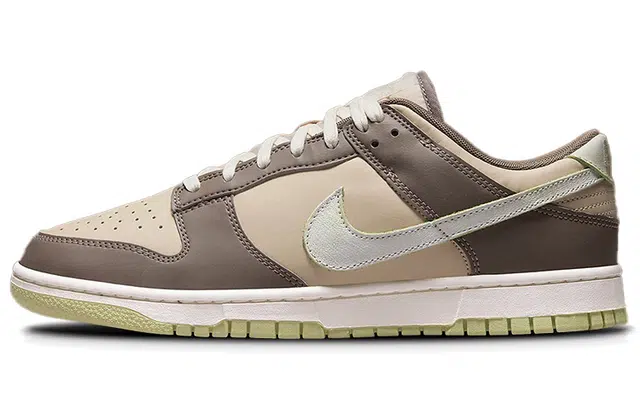 Nike Dunk Low "Velcro Tongue" Brown