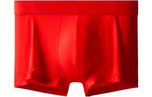 CKCalvin Klein Logo 1