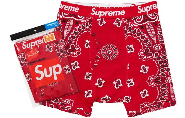 Supreme FW22 Week 1 x Hanes Boxer Briefs 12